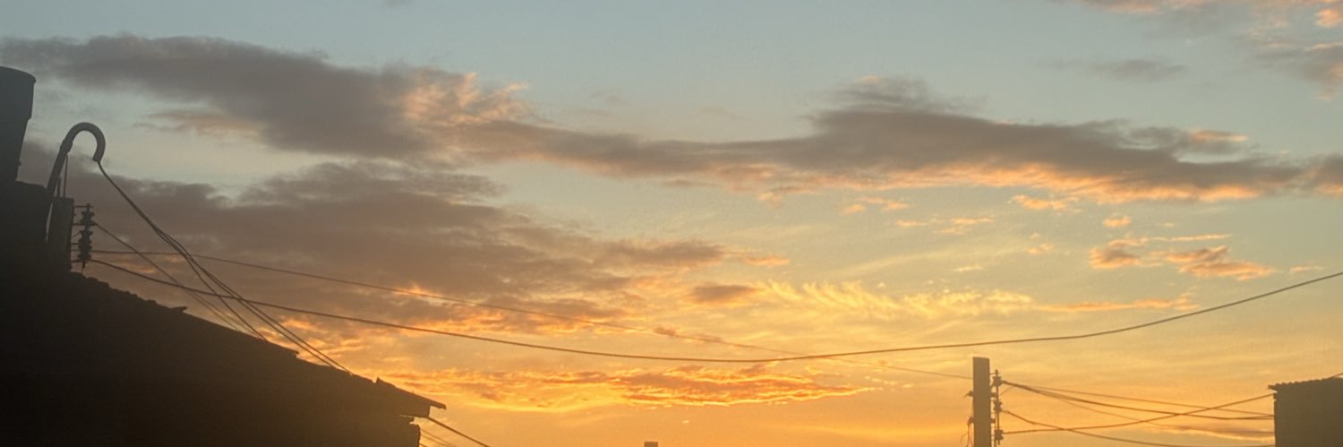 Elaine Oliveira banner