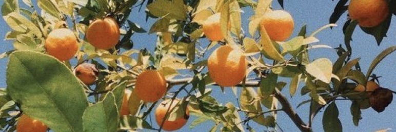 skinniebxtch99's profile banner image