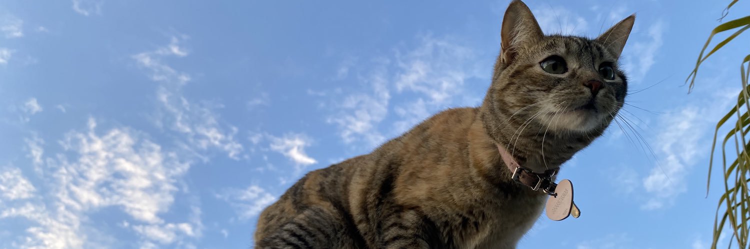 skgsad's profile banner image