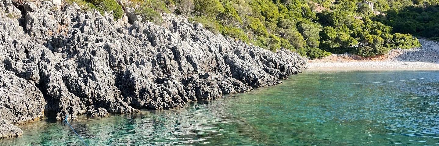 Emma Lathan-Powell banner