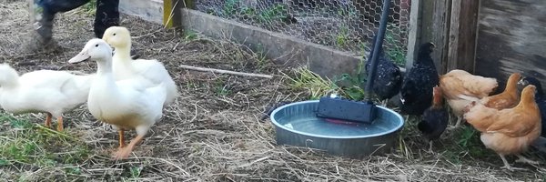 BigJoshMan Profile Banner