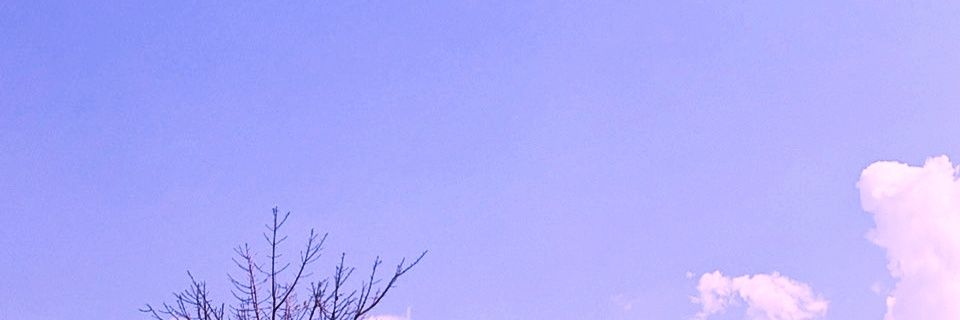 nummonnnnn's profile banner image