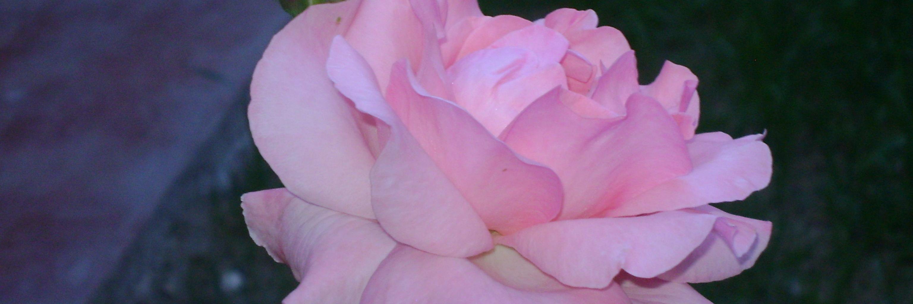 081257EDITH's profile banner image