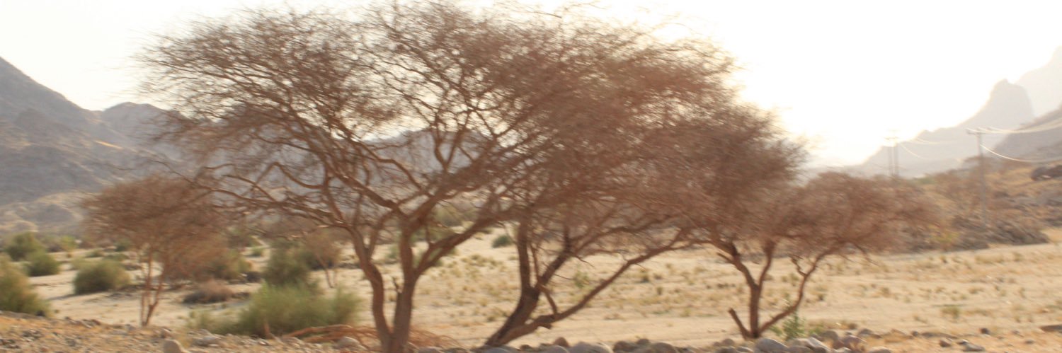 Saud_TN's profile banner image