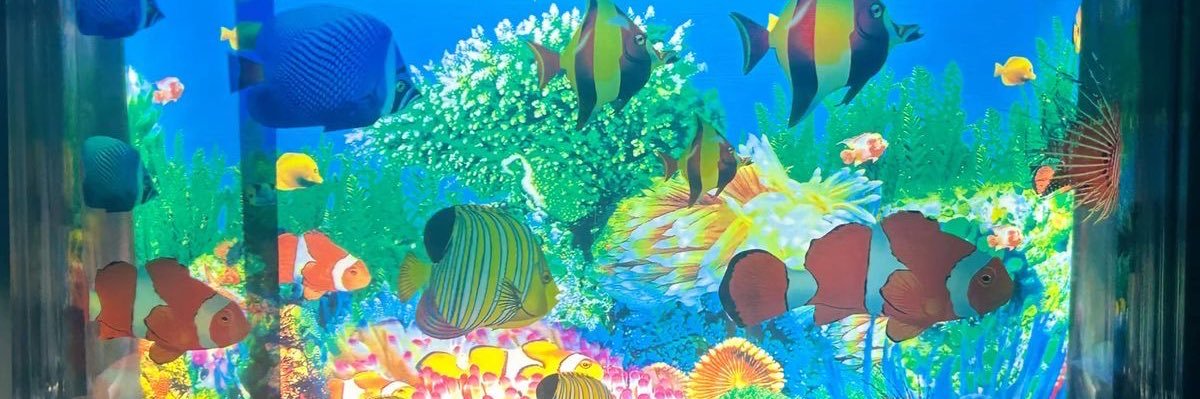 🏝️🎏 banner