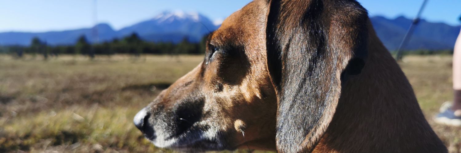 PauMSoria's profile banner image