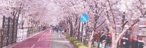 ✳️ 제리뷰 Jerryview 🐰ㅣ Ⓜ️Ⓜ️T banner