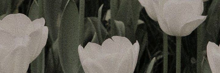 _69845Hz's profile banner image