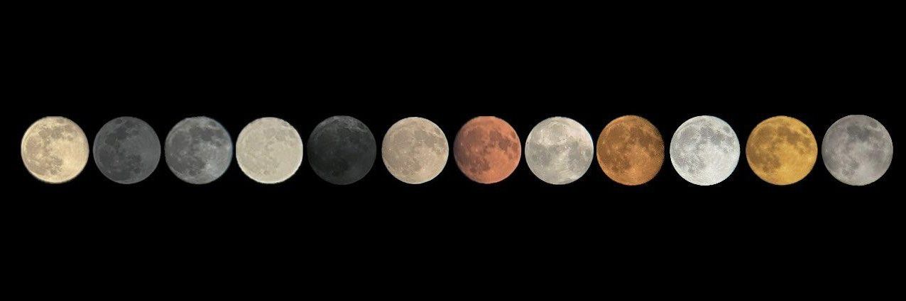 ɥǝɯǝʇɐɟ🦊 banner