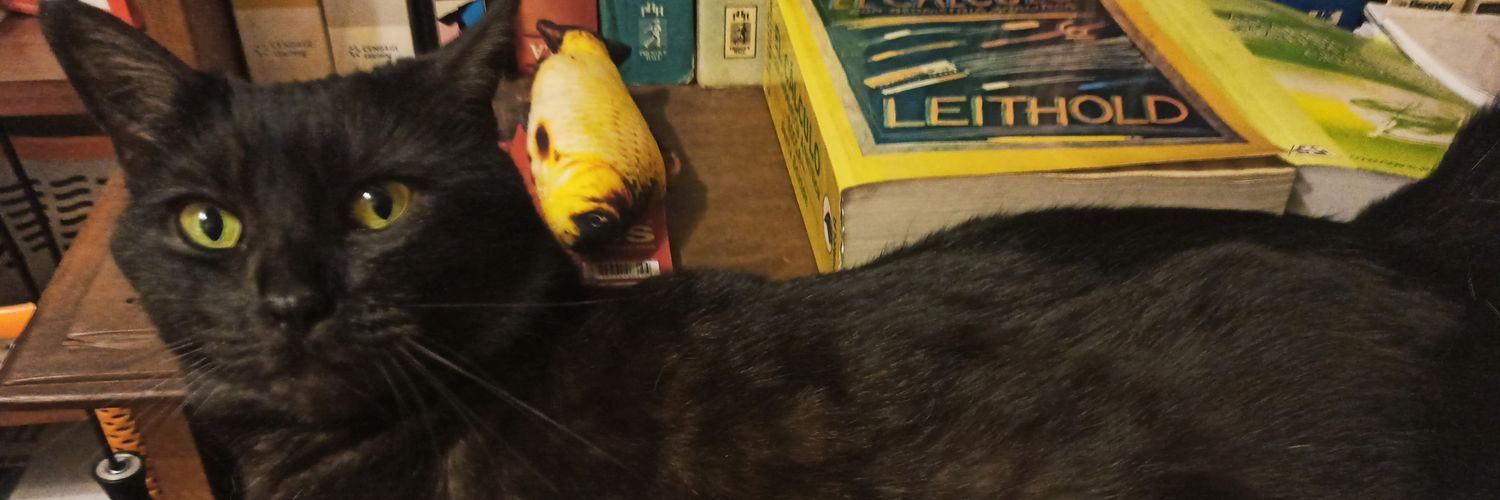 Michi Meownard Keynes banner