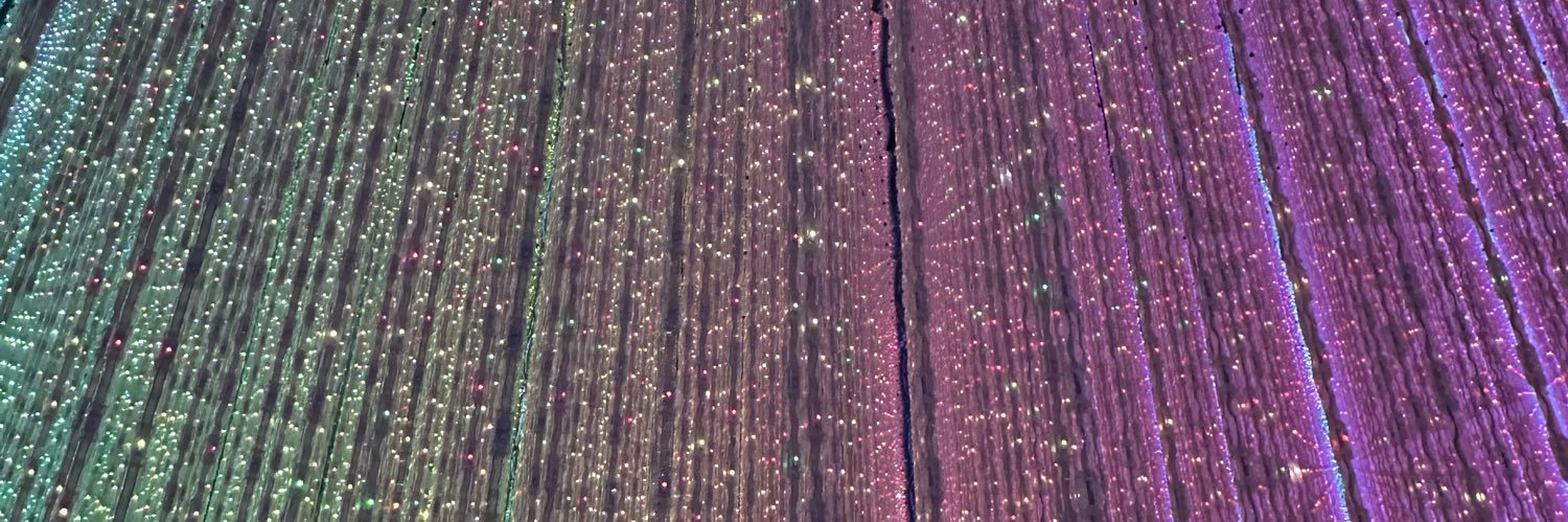 noemi banner