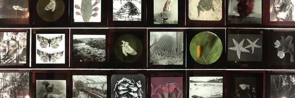 MuseumCrush Profile Banner