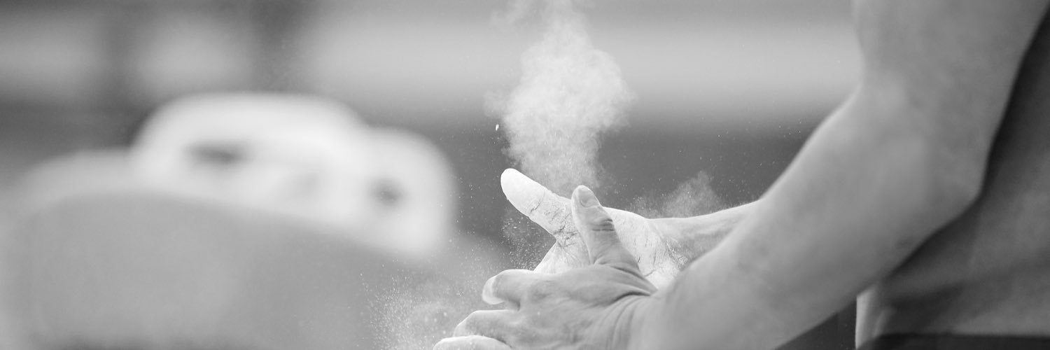 kamesen_ryu's profile banner image