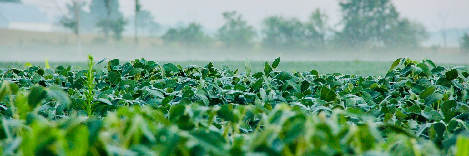 Brownfield Ag News banner