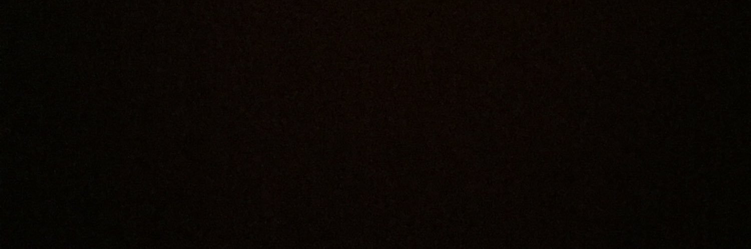 carodelh's profile banner image