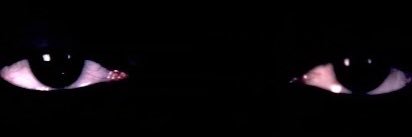 ldbta_'s profile banner image