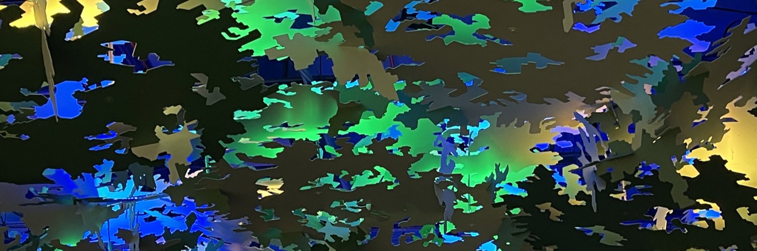 Julie Silard Kantor banner