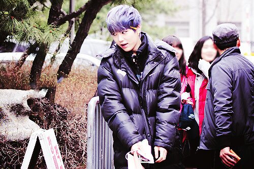 SMF_BAPZelo's profile banner image