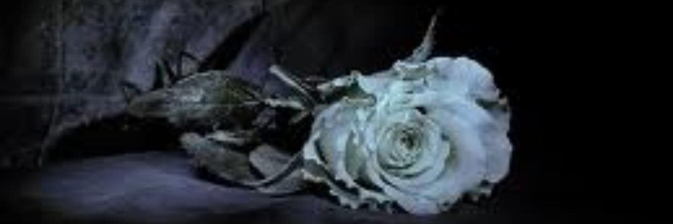 rukiye41's profile banner image