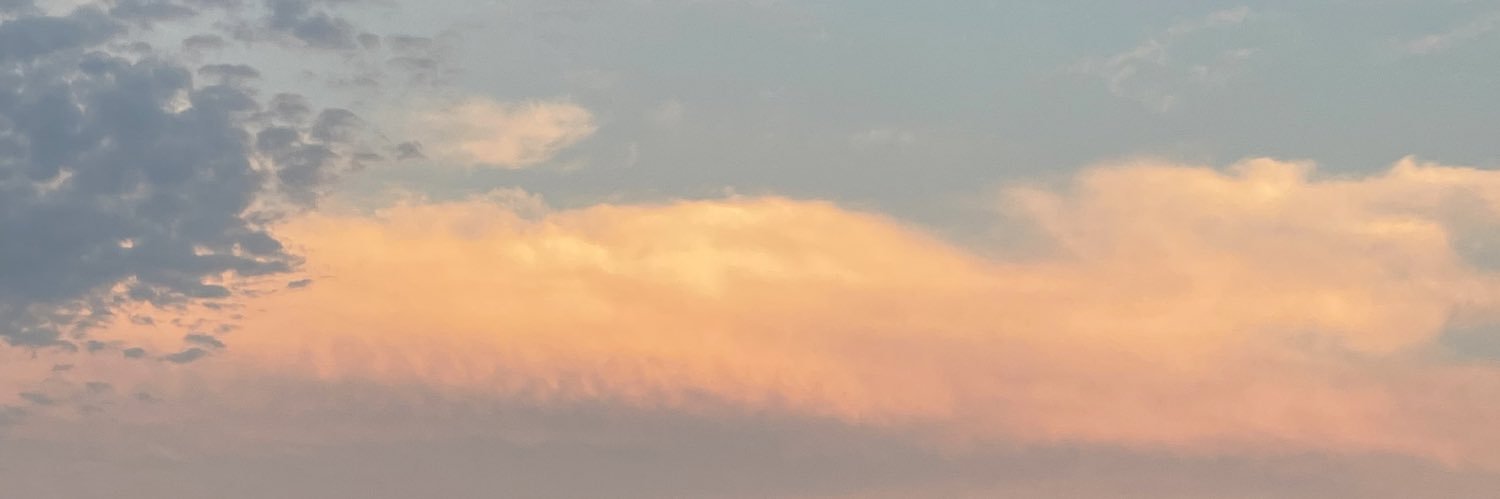 skylersemien's profile banner image