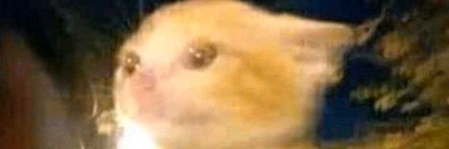 javilopez9_'s profile banner image