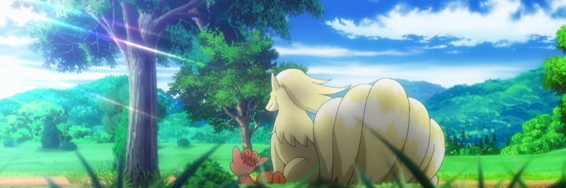 Vulpix Propaganda banner