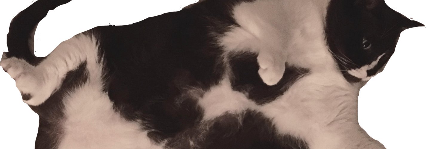 AlisonBy's profile banner image