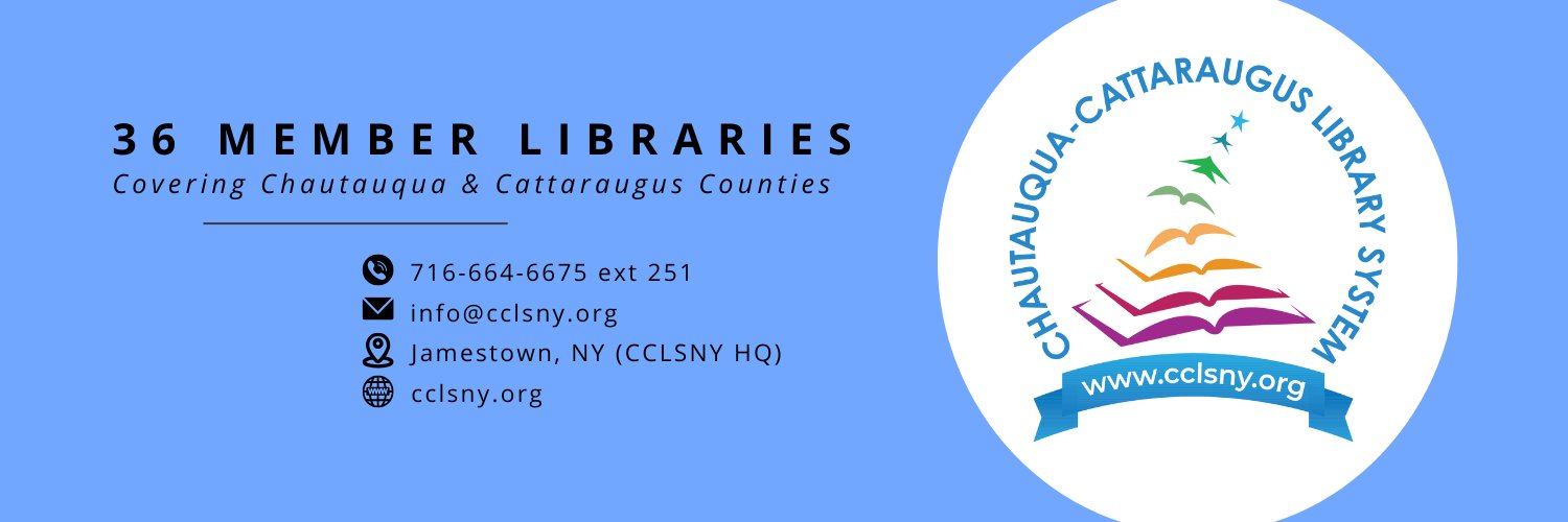 librarysystem's profile banner image