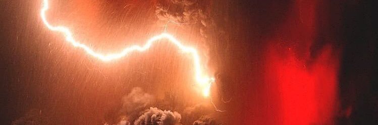 fdneeley35's profile banner image