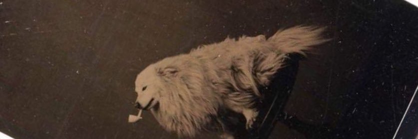 italian-american legitimate businessmen’s club banner