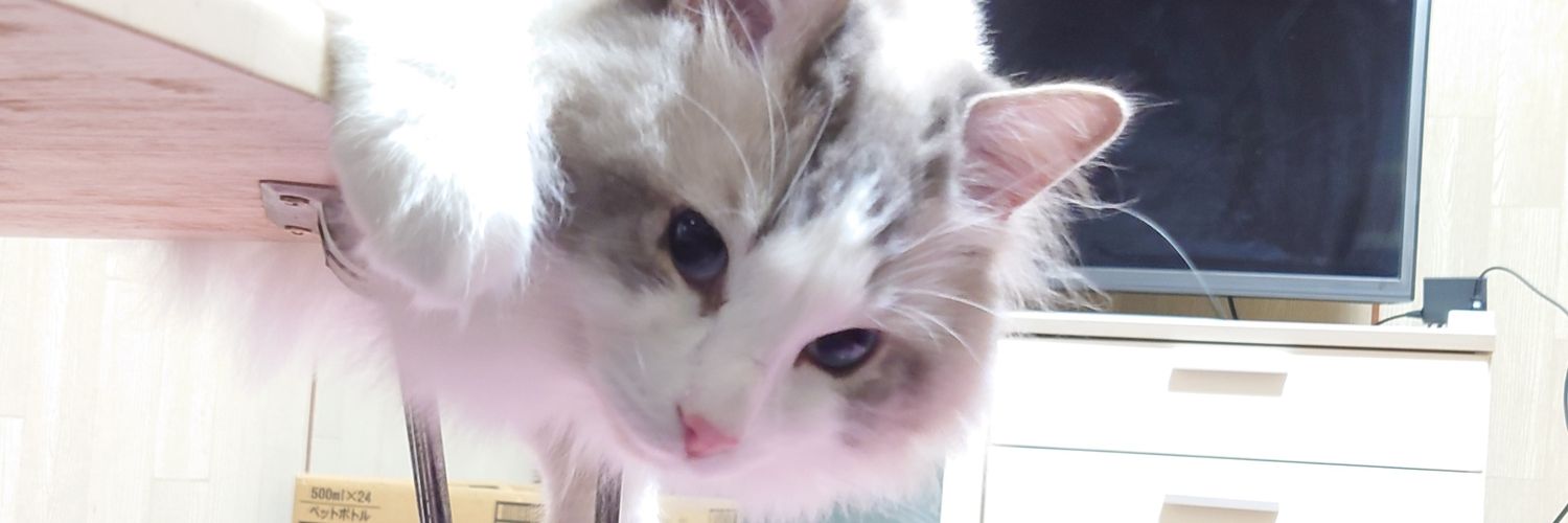 ゆきいちご banner