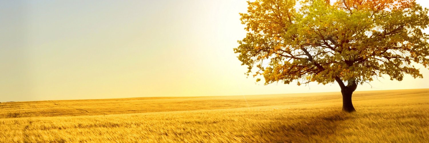 konjon2005's profile banner image
