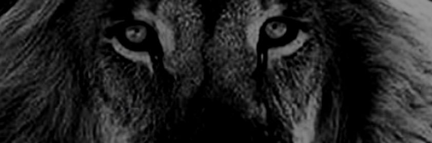 aE2dy's profile banner image