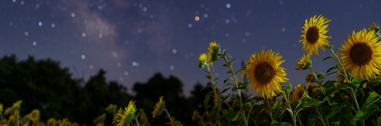 chi3104's profile banner image