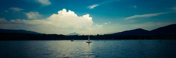 Fitzchev Profile Banner