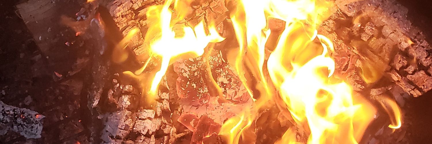 junebuggyinc's profile banner image