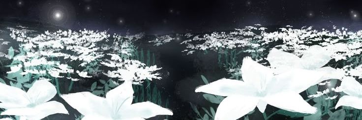 Fabián Osses banner