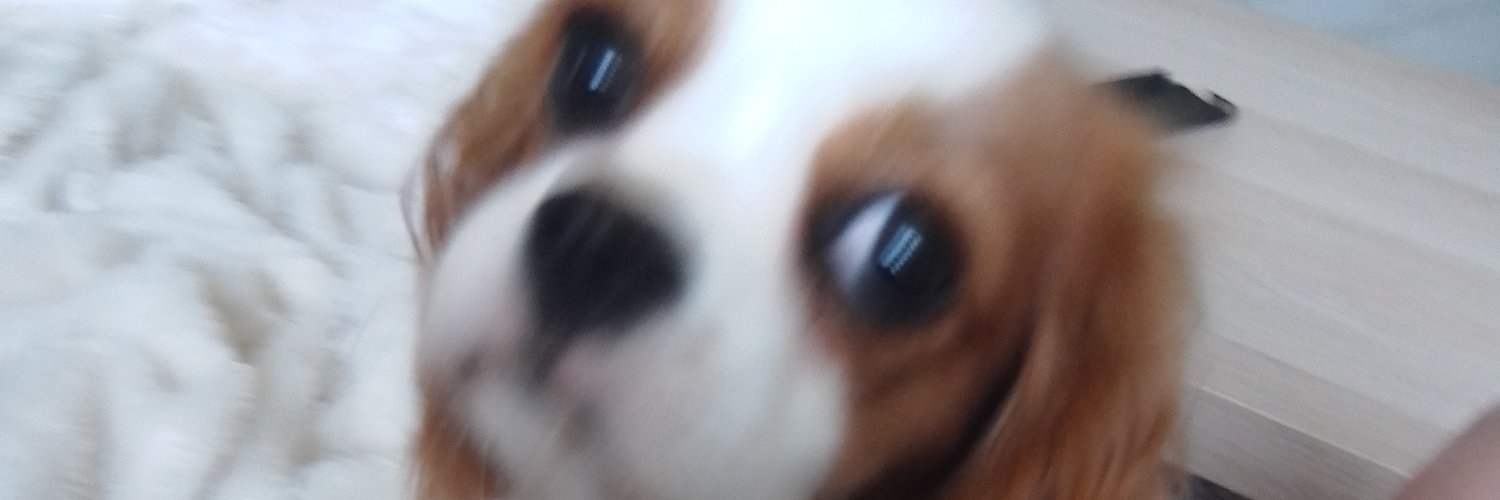 RomekL's profile banner image