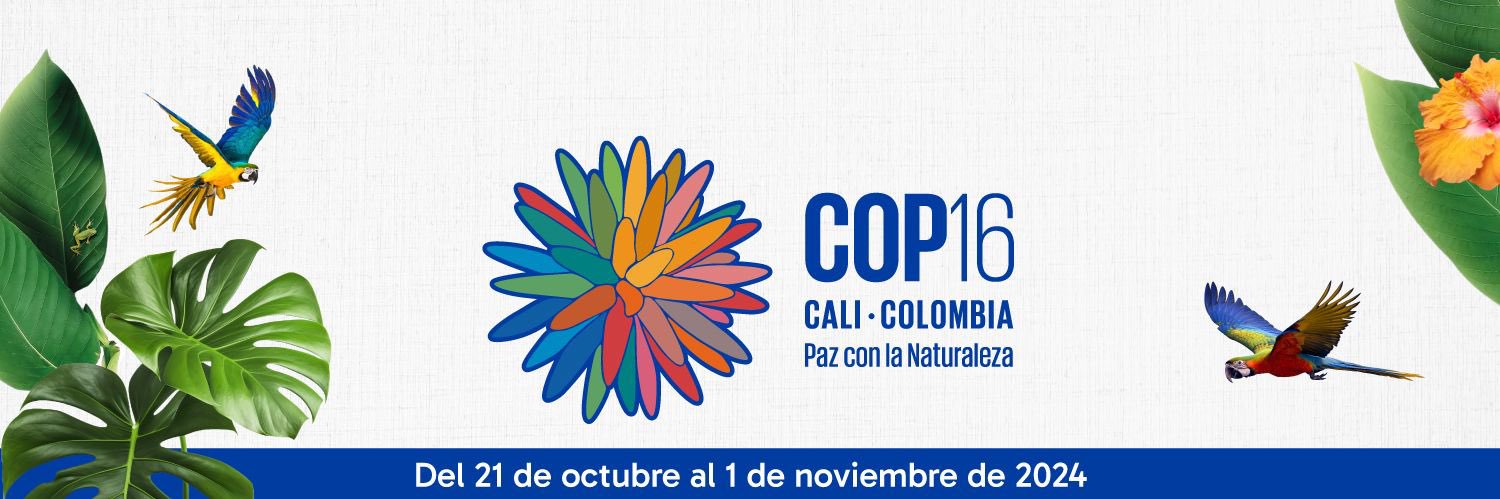 Misión Permanente de Colombia ante la OCDE's banner