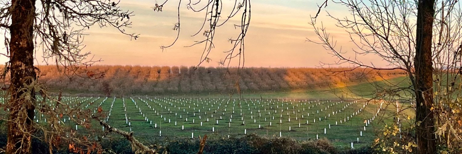 Matthew Fenton banner