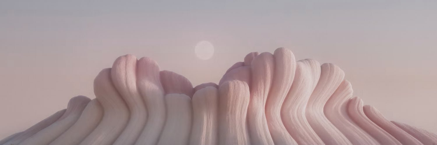 mae's banner