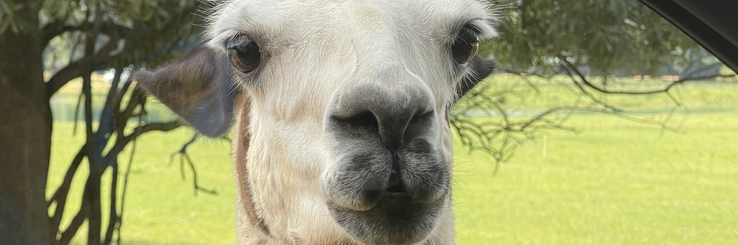 Amanda Price M.Ed_KES banner