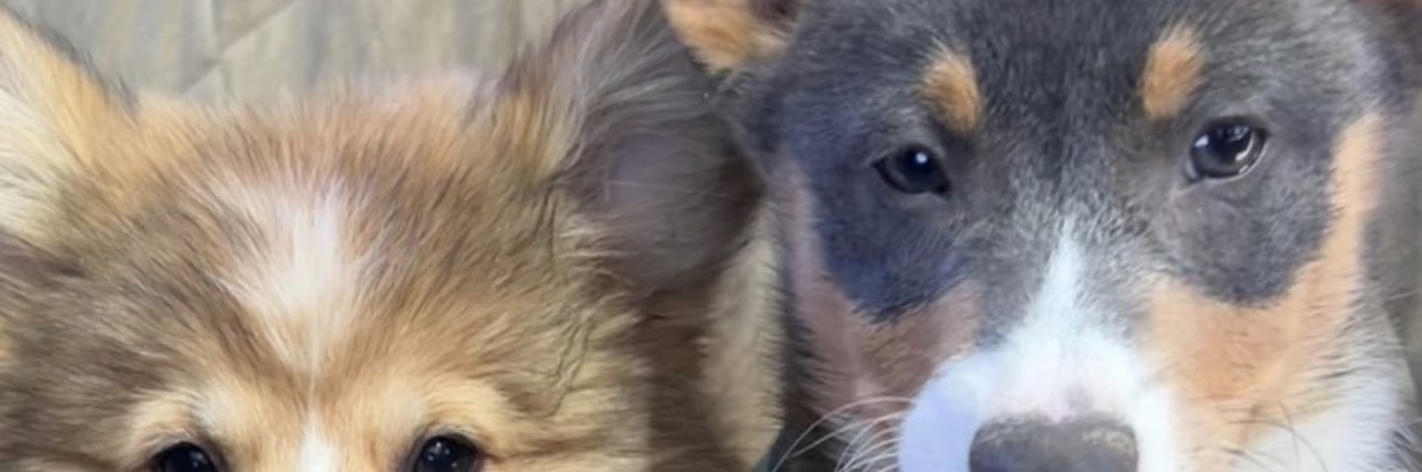 matchaplsss's profile banner image