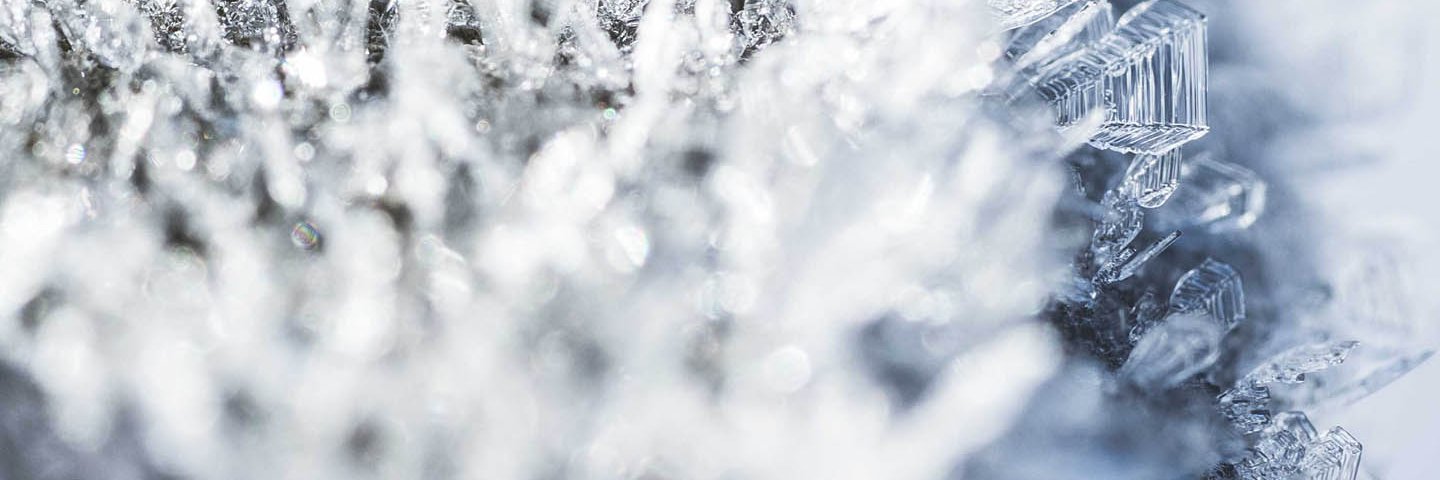 carocalderondia's profile banner image