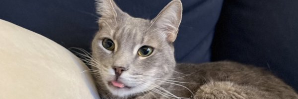 alanshow Profile Banner