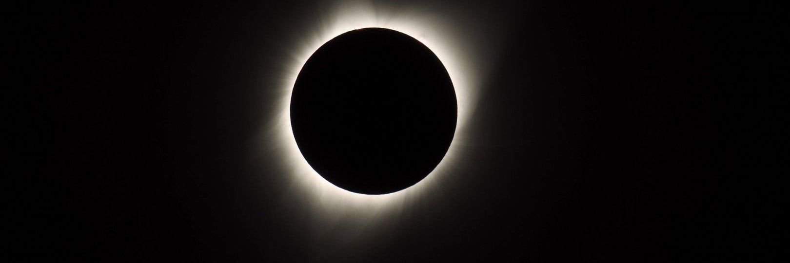 Ashbrown176's profile banner image