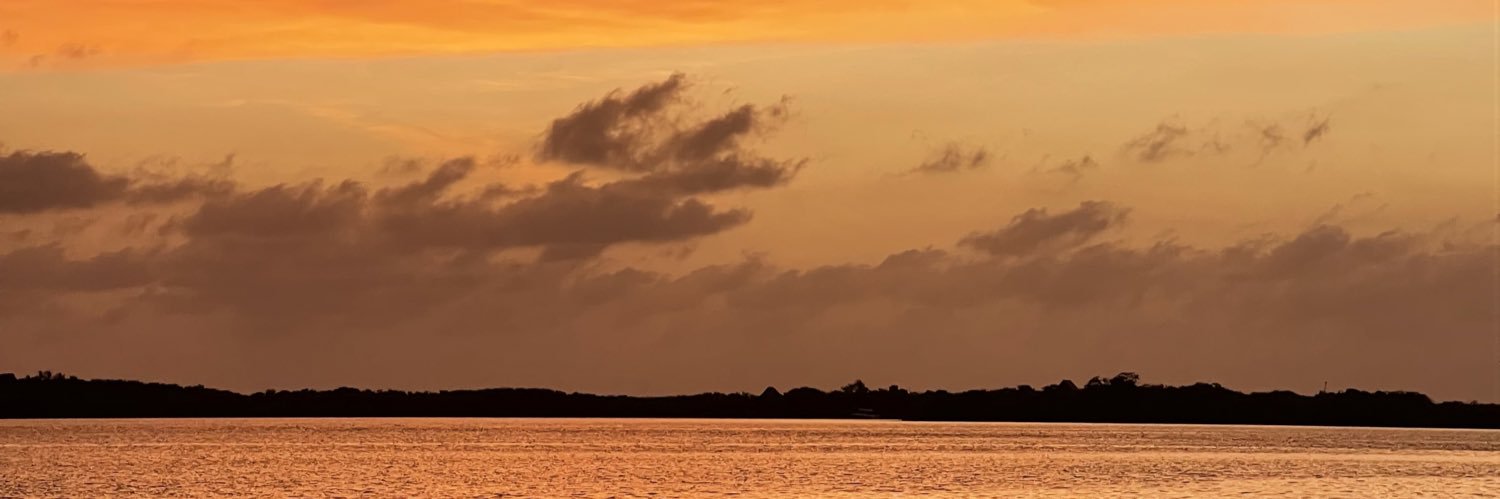 sebalvarc's profile banner image