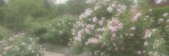 Itme banner