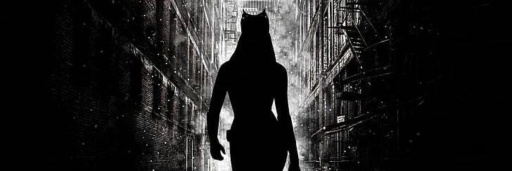 BatInTheCat's profile banner image