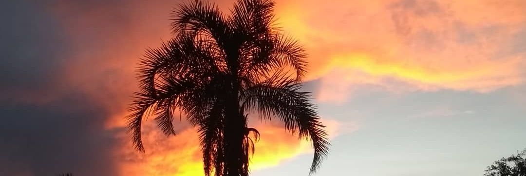 brennaborges's profile banner image